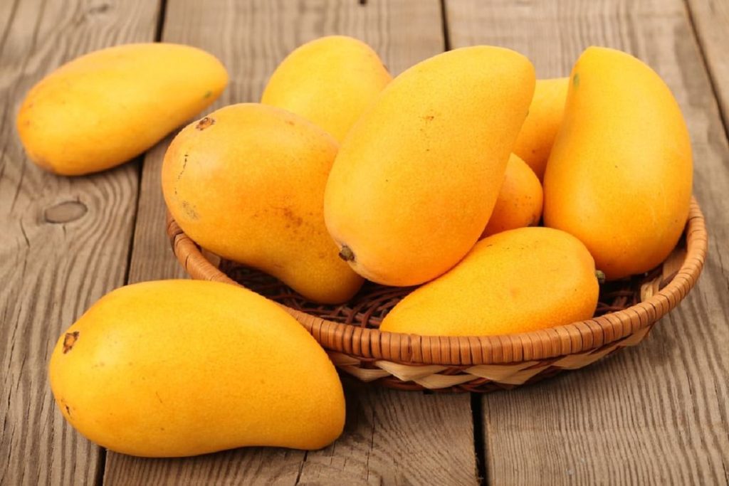Are Shiny Mangoes Dangerous